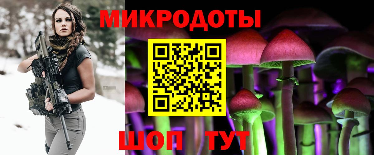 Нововоронеж  где купить наркотик  Вход с VPN  Псилоцибиновые грибы мухоморы  Псилоцибиновые грибы прущие грибы 