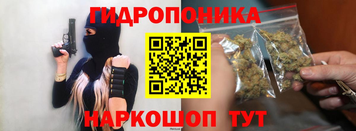 МАРИХУАНА сатива Нововоронеж